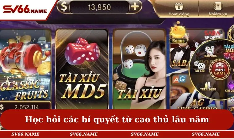 Cách Bắt Cầu Tài Xỉu Hiệu Quả Giúp Người Chơi Thắng Lớn 2 Học hỏi các bí quyết từ cao thủ lâu năm