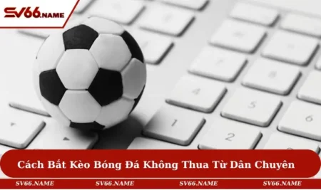 Cách bắt kèo bóng đá không thua