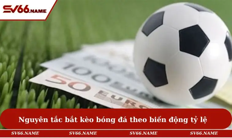Cách Bắt Kèo Bóng Đá Không Thua - 5 Bí Quyết Từ Dân Chuyên 2 Nguyên tắc bắt kèo bóng đá theo biến động tỷ lệ