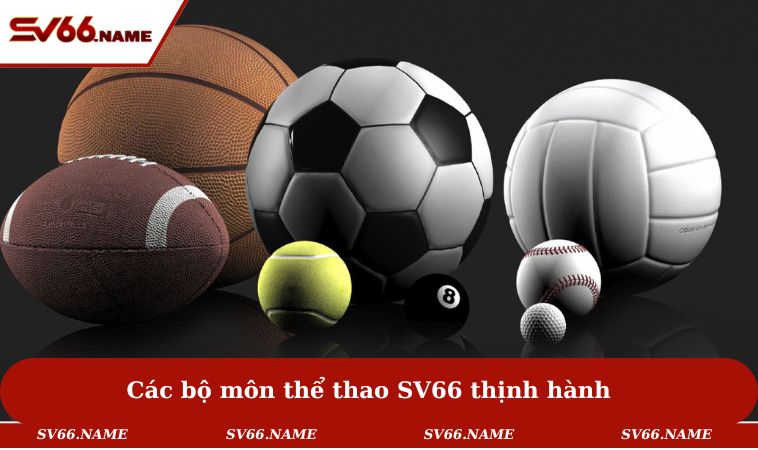 Thể Thao SV66 3 Các bộ môn thể thao SV66 thịnh hành